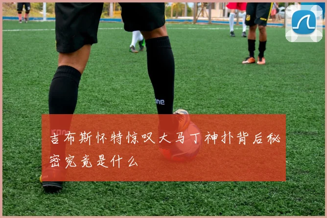 吉布斯怀特惊叹大马丁神扑背后秘密究竟是什么