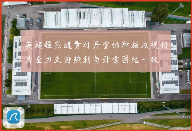 英超强烈谴责对丹索的种族歧视行为全力支持热刺与丹索团结一致