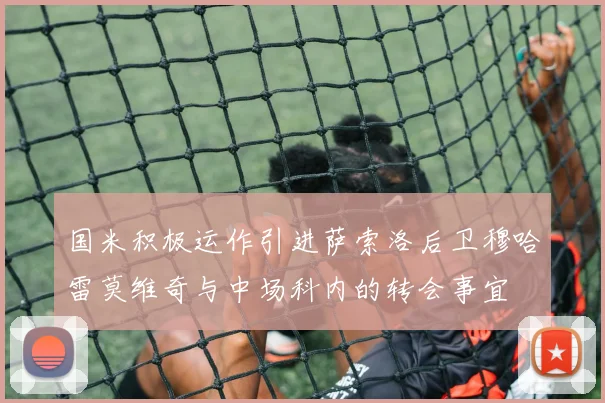 国米积极运作引进萨索洛后卫穆哈雷莫维奇与中场科内的转会事宜